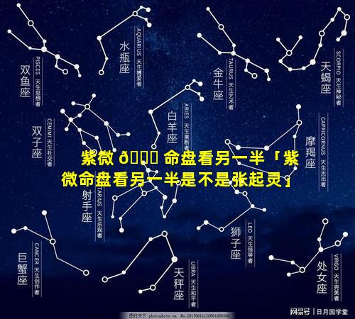紫微 🐅 命盘看另一半「紫微命盘看另一半是不是张起灵」